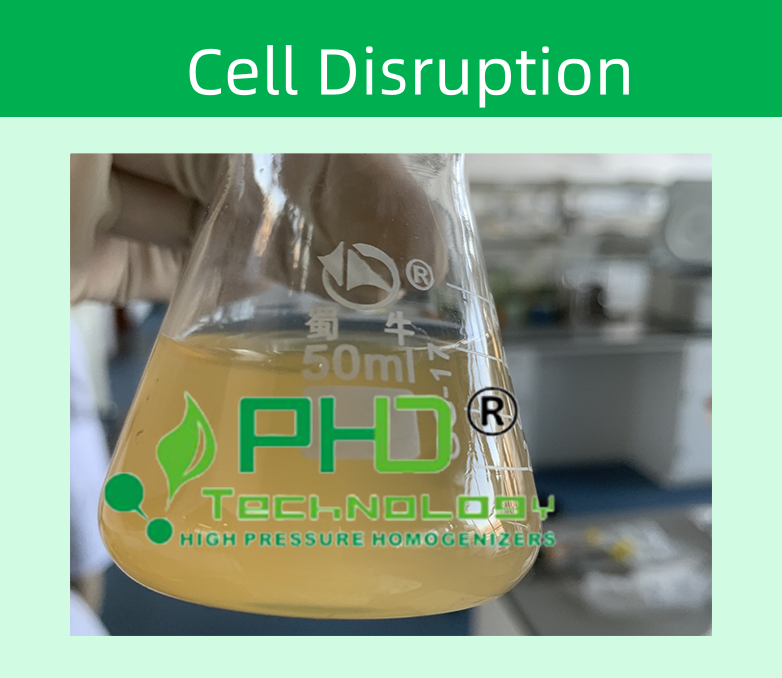 2-1 枯草芽孢桿菌782X678.png