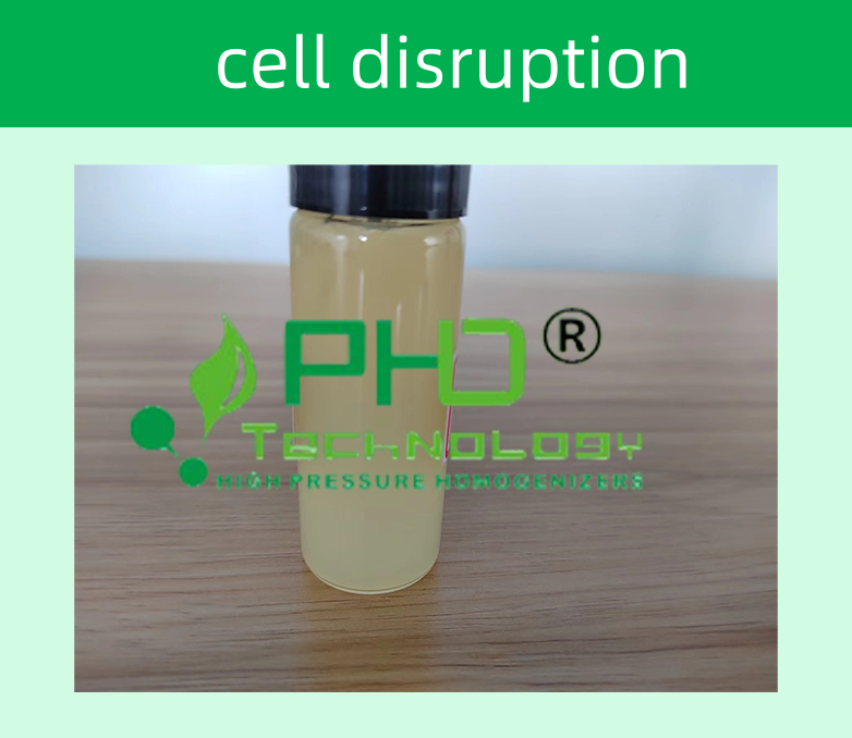 4-1 昆蟲細胞782X678.png