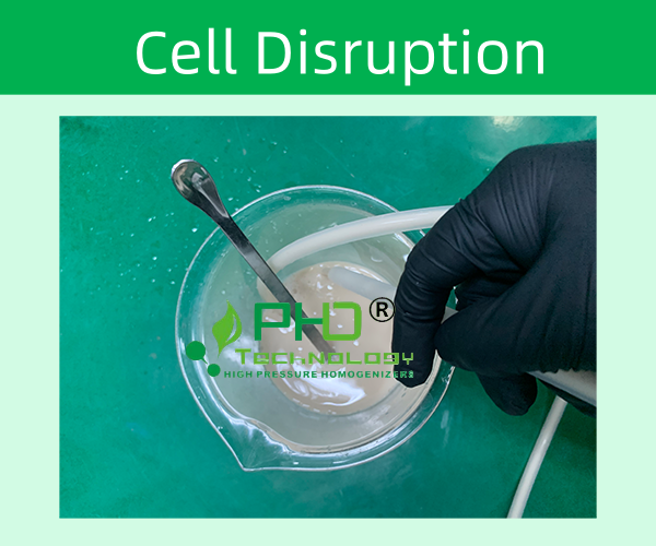 高壓細胞破碎原理與技術