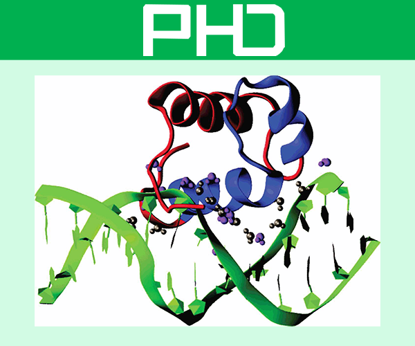 高壓細胞破碎儀應用于疫苗細胞破壁