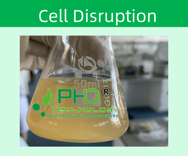 高壓細胞破碎儀質量