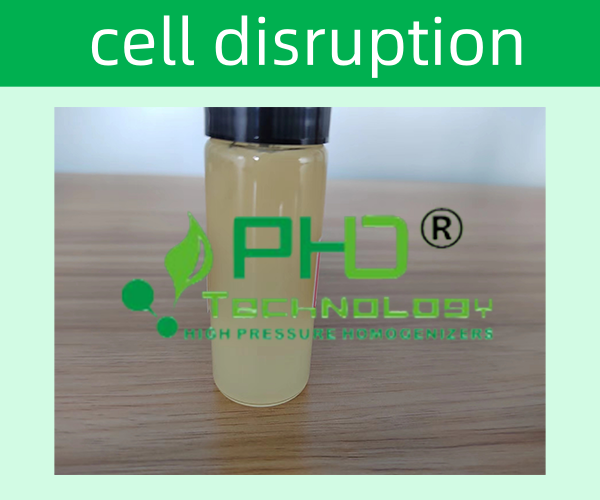 PhD高壓細胞破碎儀的特點