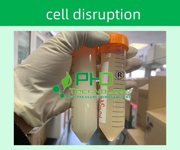 PhD高壓細胞破碎儀的優勢和特點