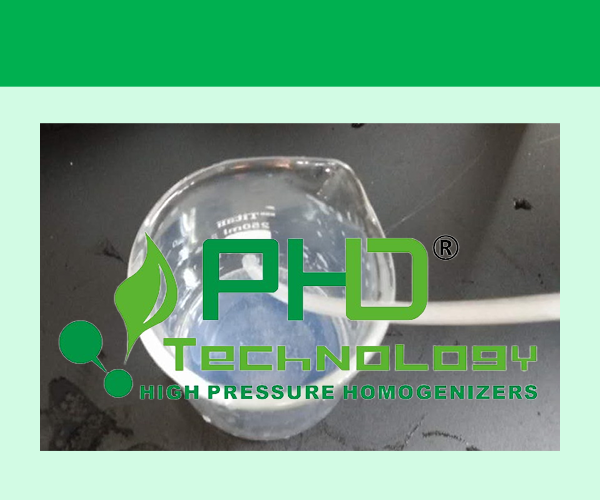 脂質體技術應用于醫藥