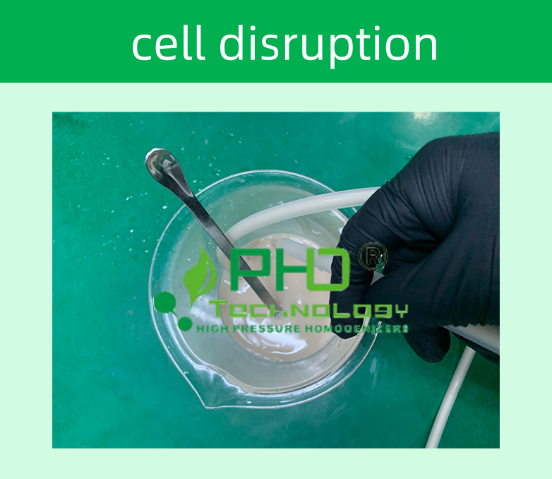 52365621.png 3、畢赤酵母782X678.png