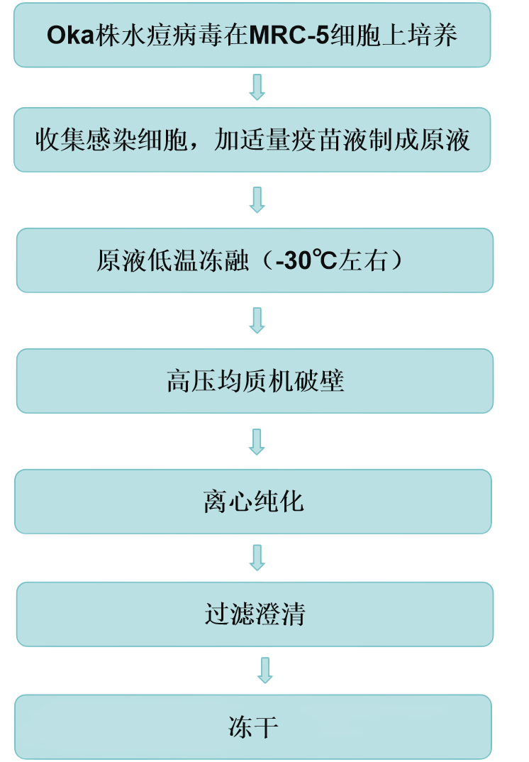 41141197.png 2、生產工藝.png