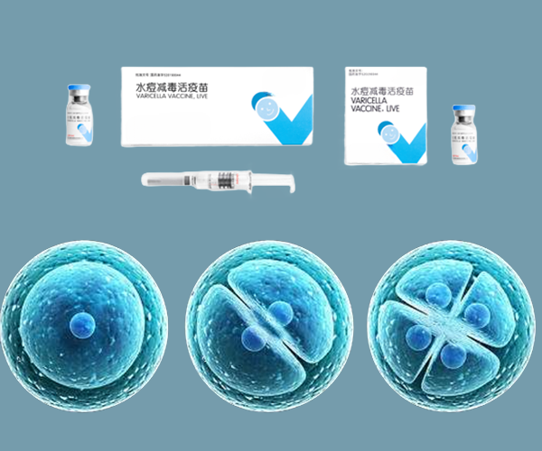 PhD細胞破壁機 | 水痘減毒活疫苗