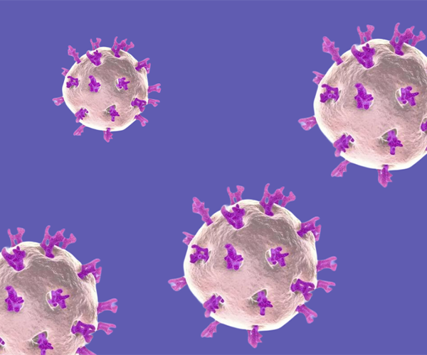 PhD高壓細胞破碎儀 | 輪狀病毒疫苗