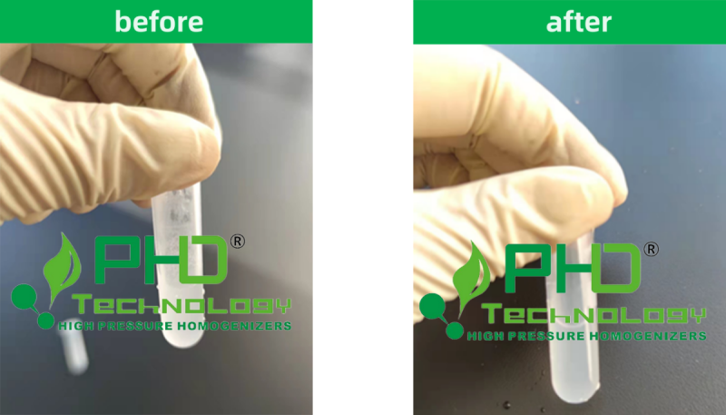 1-3 均質對比-PhD1.png