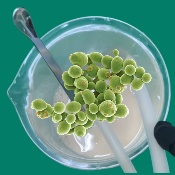 36771327.png 4、應用方案.png