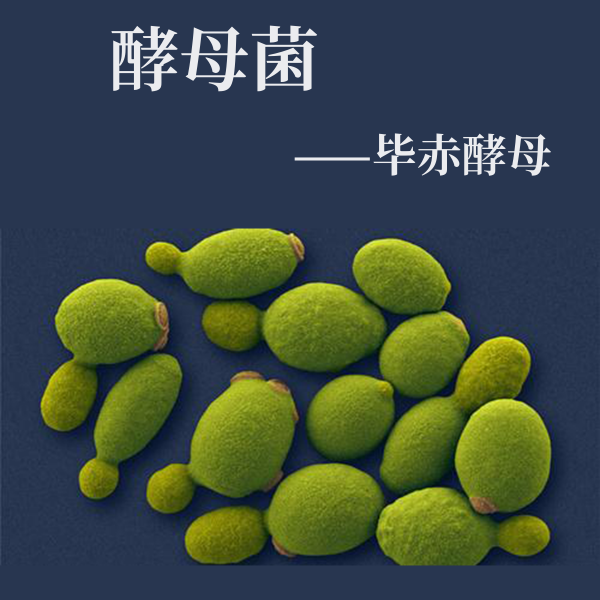 81028377.png 3、應用案例.png